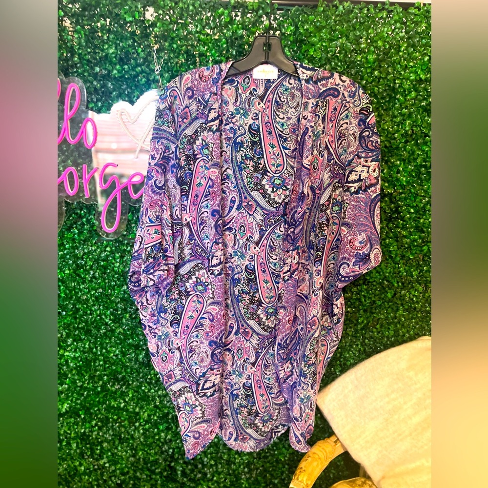 Sheer Swim Suit Coverup